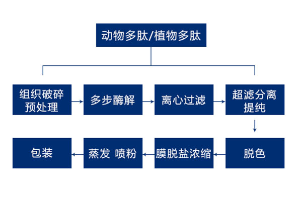 葵花盤多肽生(shēng)産線